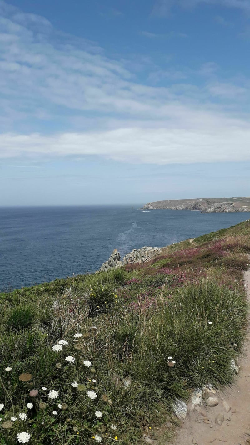 Marche au centre de Trébeurden, par la Plage de Tresmeur et le Castel - Trebeurden