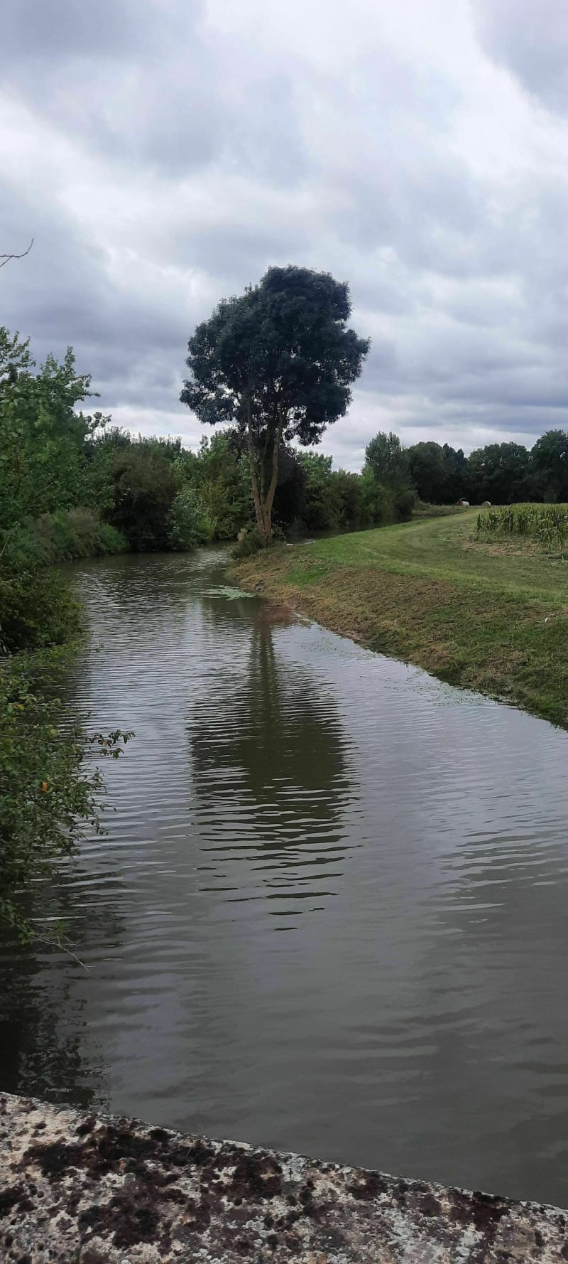 Sentier des Ponceaux à La Ménitré - La Ménitré