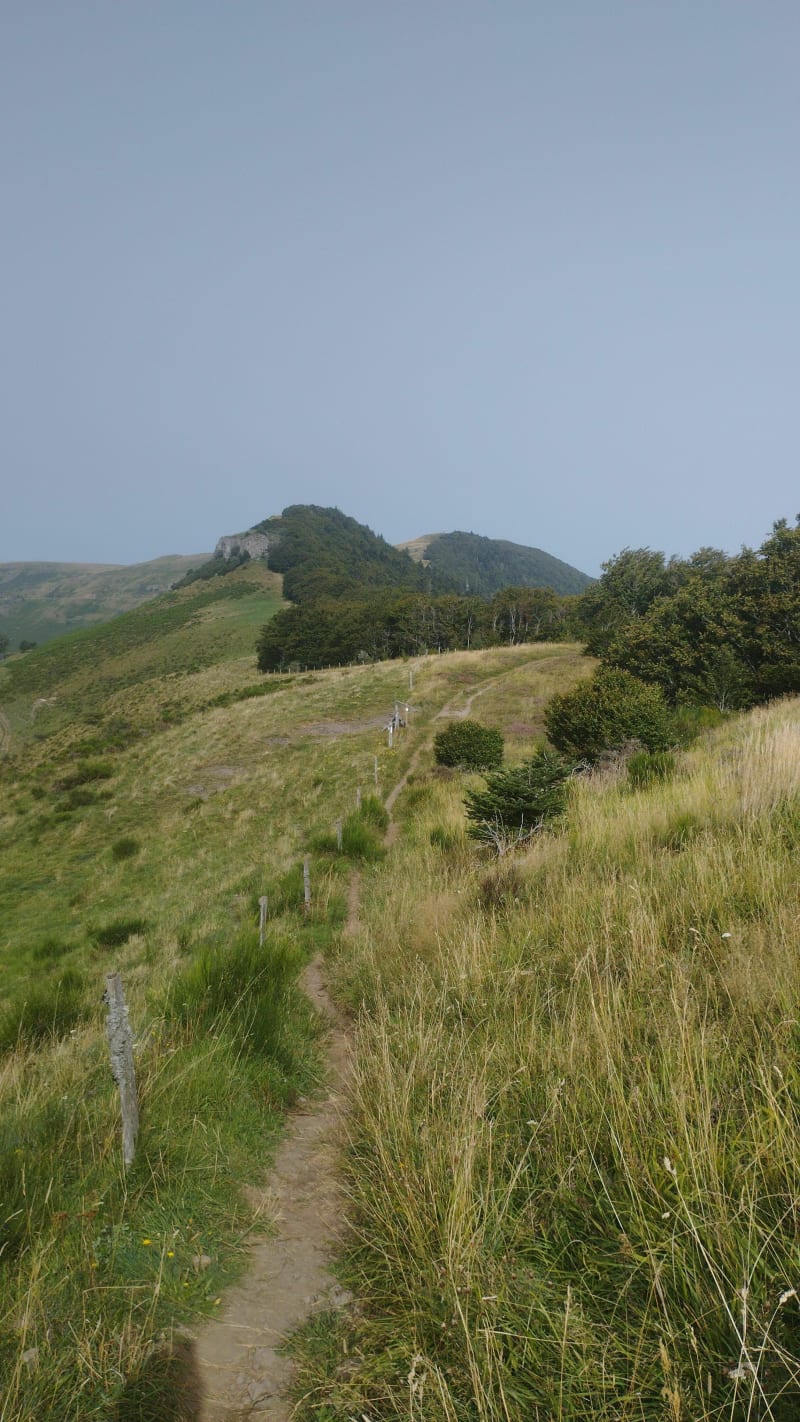 Le sentier d'Emilie au Col de Néronne - Le Falgoux