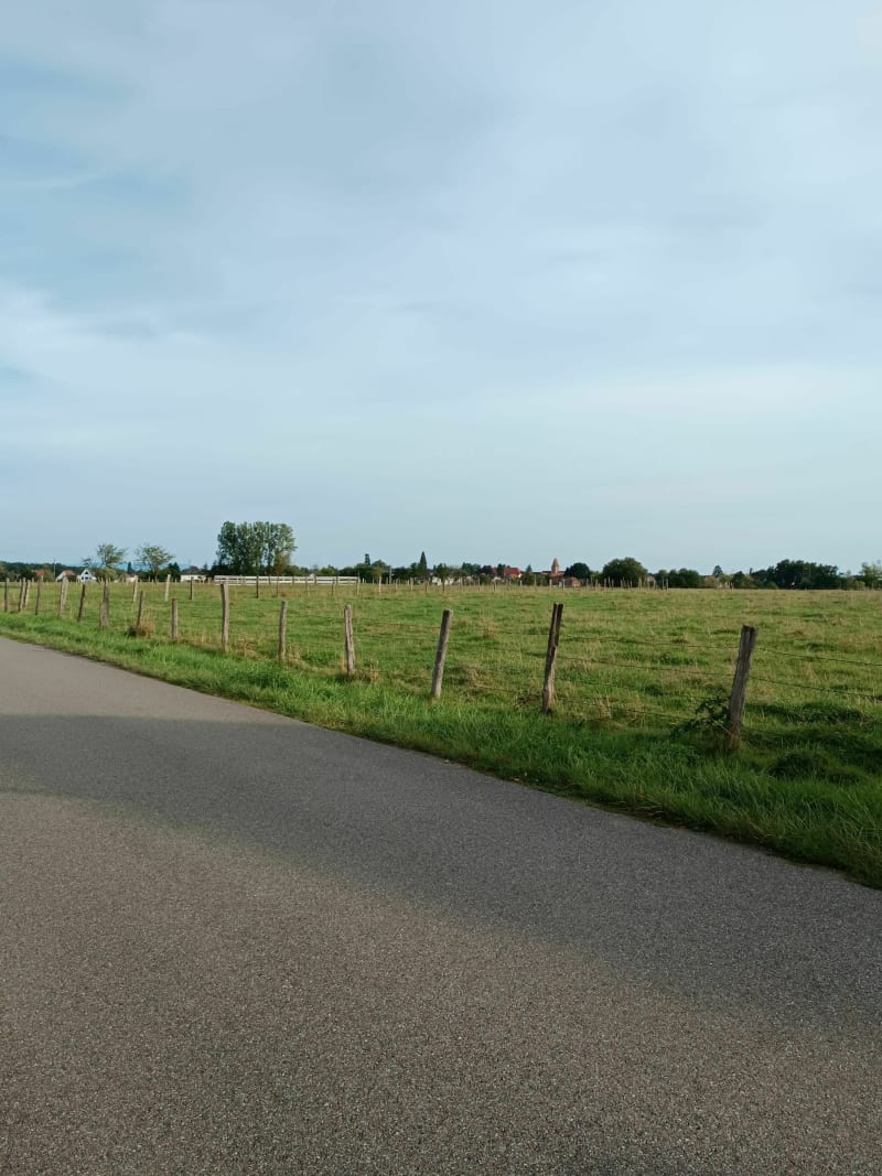Tour par Biblisheim et Walbourg - Durrenbach