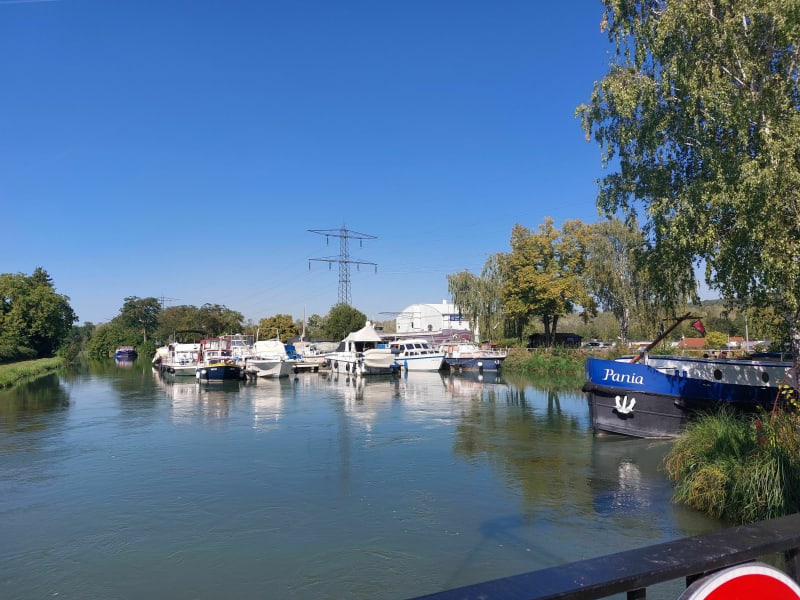 Balade entre forêt de la Hardt, canal et réserve naturelle - Chalampé