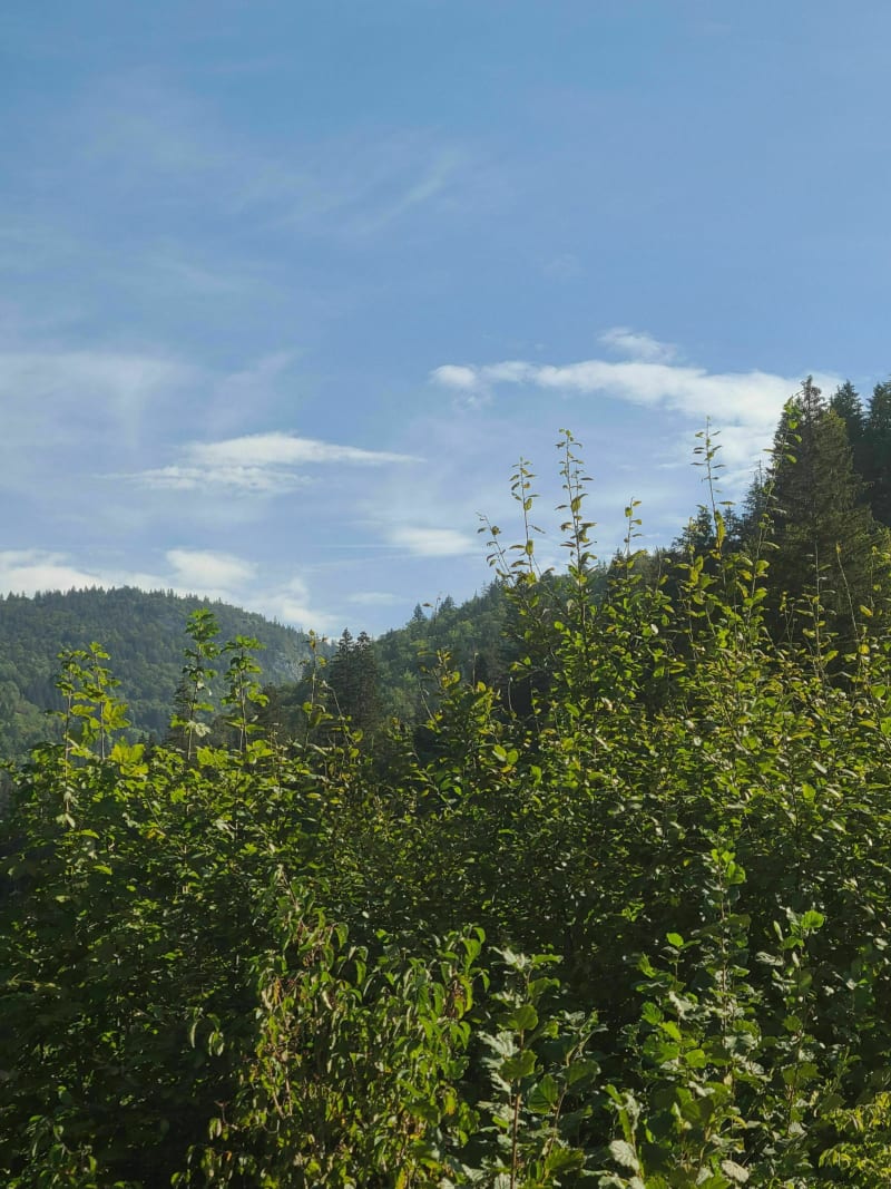 Fer à cheval depuis Prémanon - Prémanon