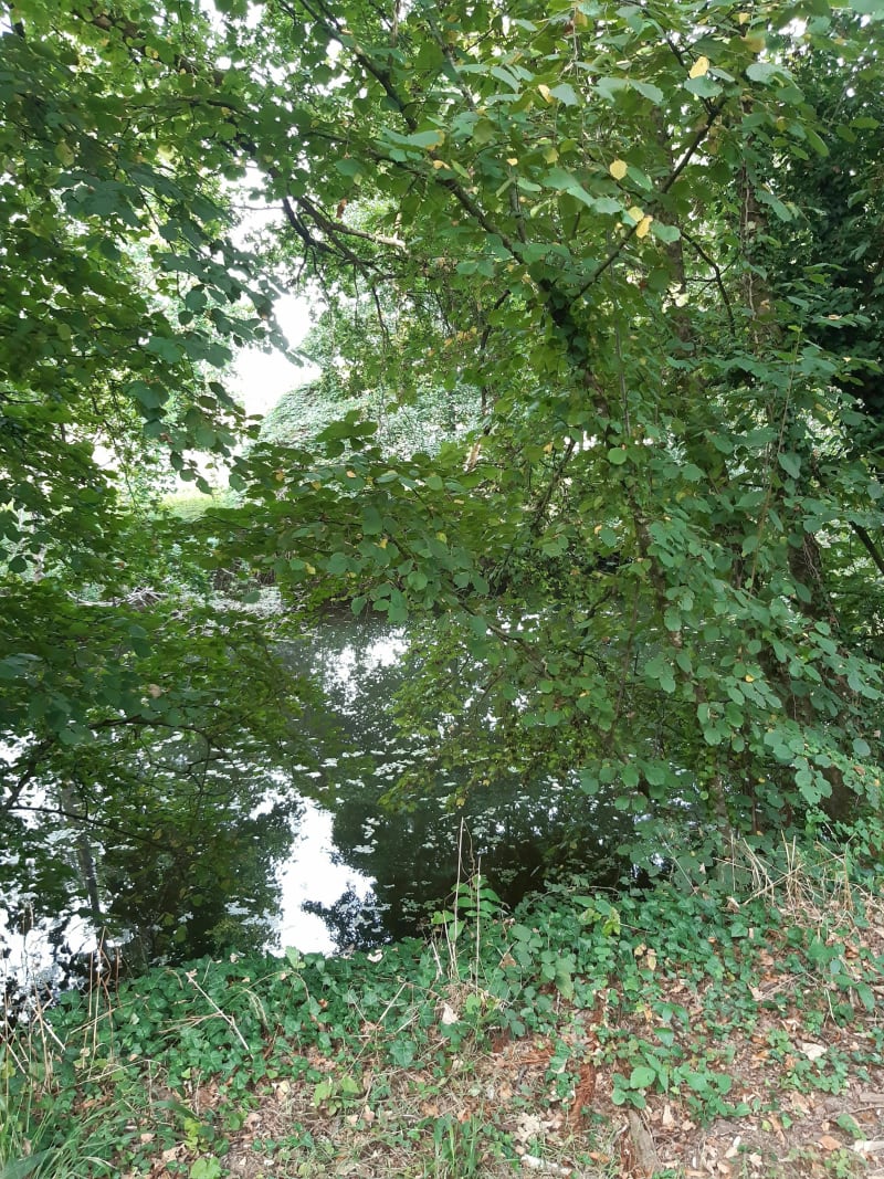 Balade à La-Chapelle-du-Genêt - Beaupréau-en-Mauges