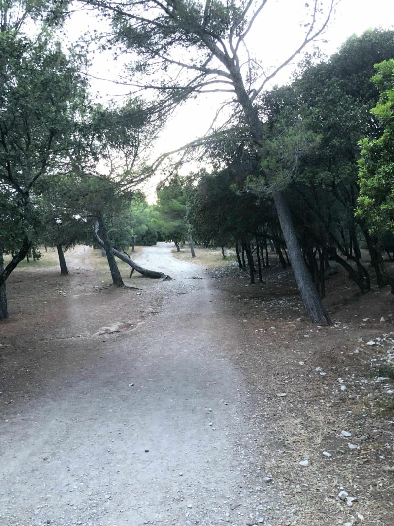 Parcours Vert - Bois des Espeisses - Nîmes
