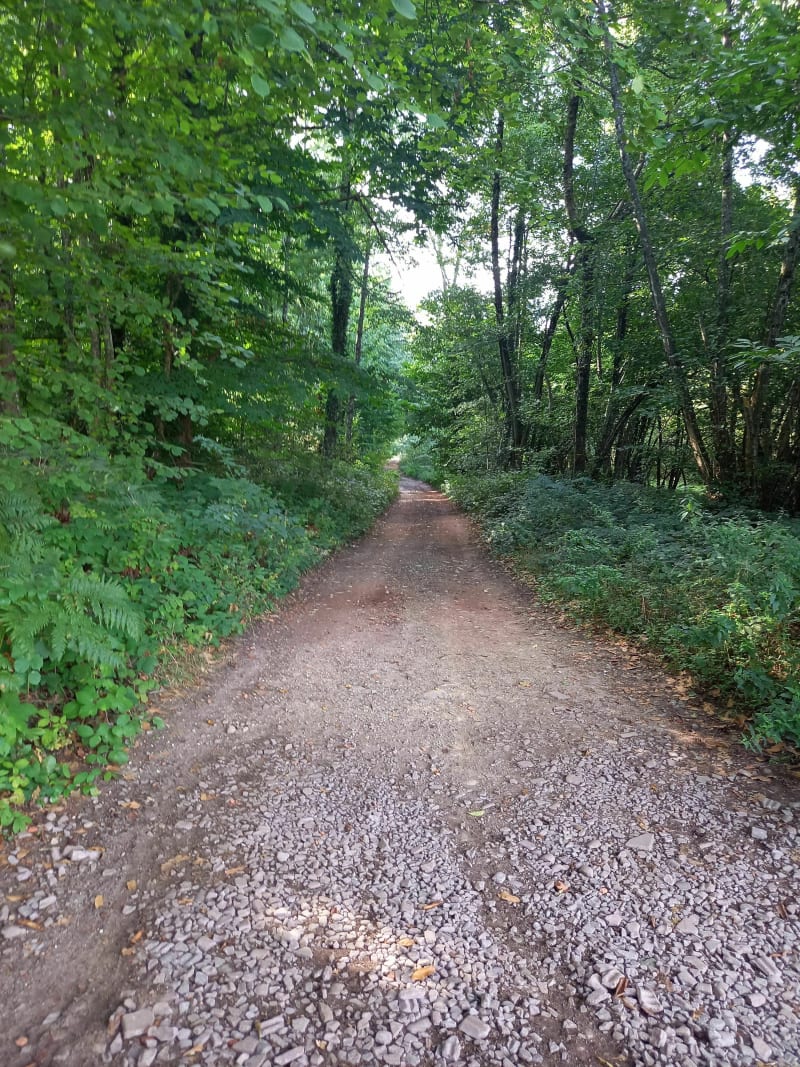 Balade dans les hauteurs des Abrets - Les Abrets en Dauphiné