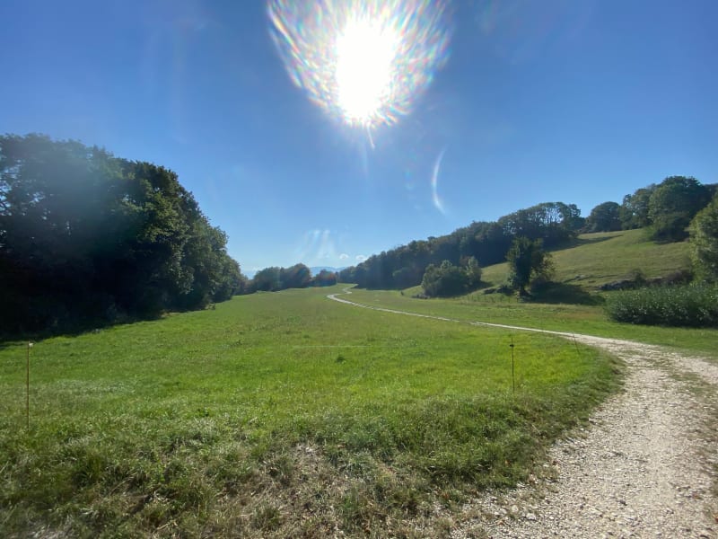 Chambotte, Sapenay, Meyrieu - Entrelacs