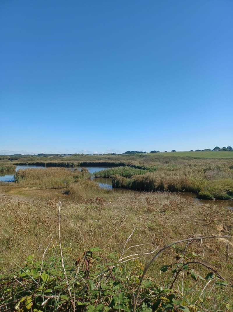 Le petit Loch et le Fort - Guidel
