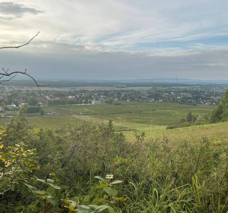 Boucle entre Givry, Jambles et le Mont Avril - Givry