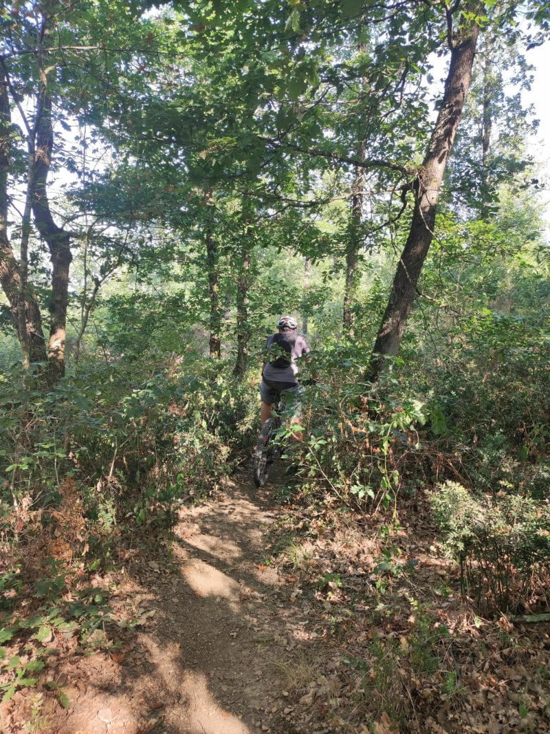 Décrassage VTT à Bouconne - Montaigut-sur-Save