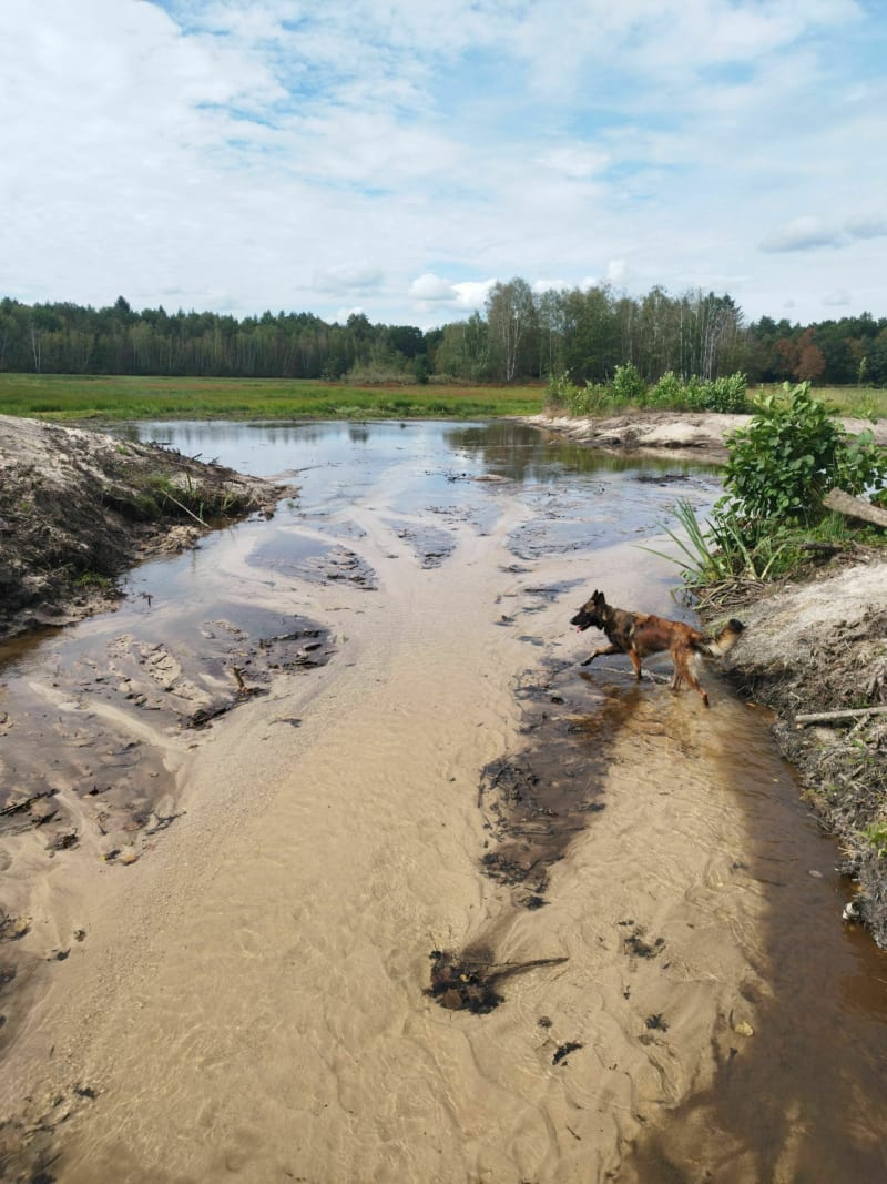 Chemin de Rivaulde à Champeau - Salbris