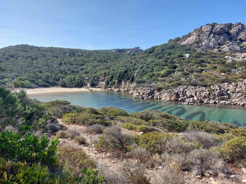 Plage d'Agulia depuis Campomoro - Belvédère-Campomoro