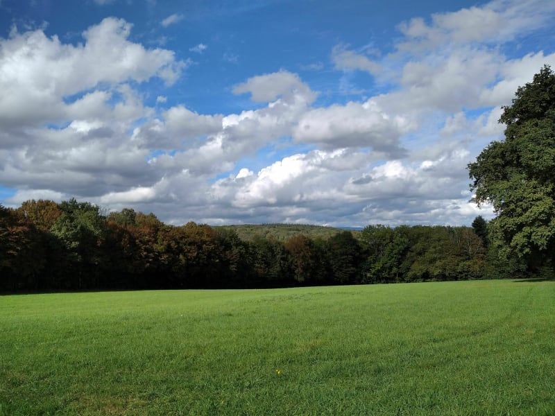Sur les hauteurs de Buc - Buc