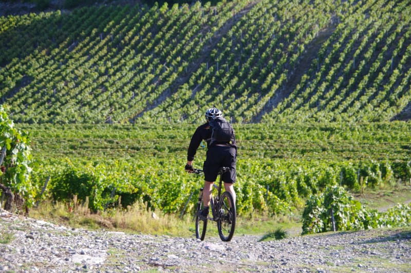 VTT La Laurence - Saint-Sulpice-et-Cameyrac