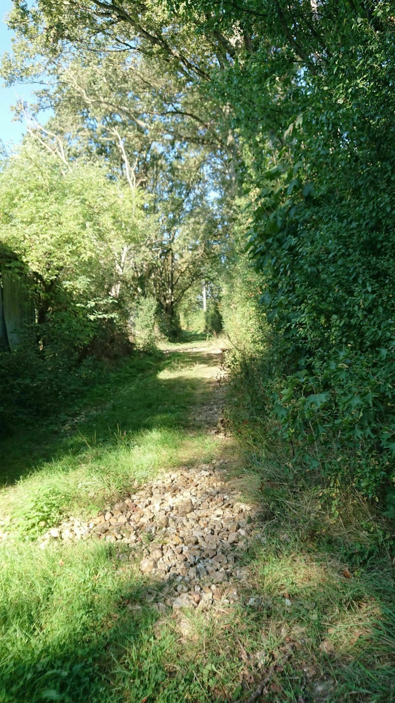 Course légère en Puisaye.Plaines et sous-bois sur bitume - Charny-Orée-de-Puisaye