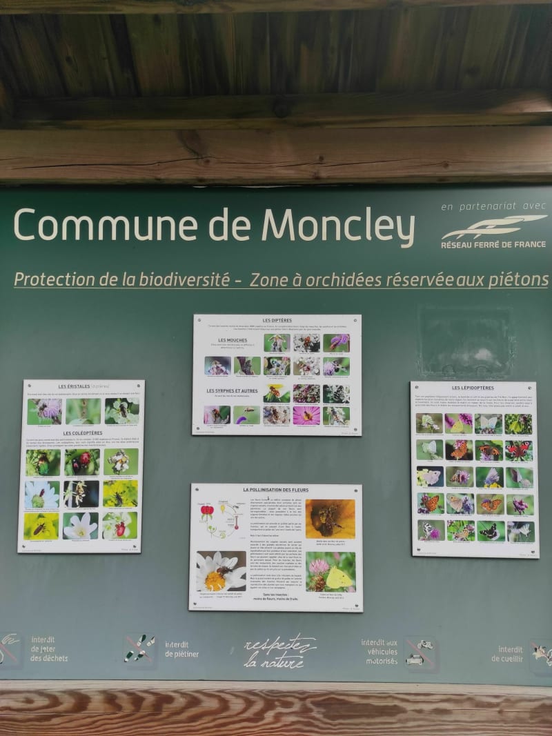 Balade autour de Moncley - Moncley