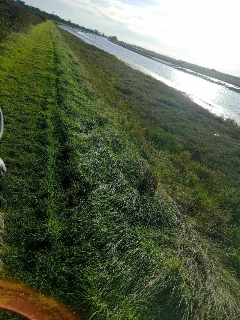 Brévands par la Grève et le canal de Carentan - Carentan-les-Marais
