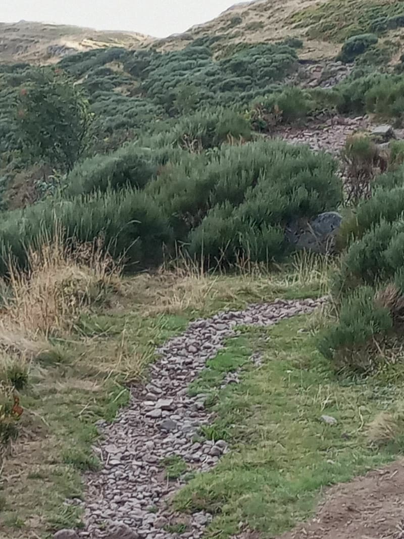 Aller retour au Bec de l 'Aiigle par le GR400 - Laveissière