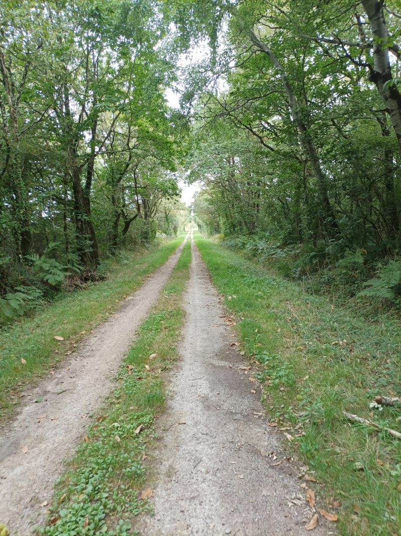 Circuit de "la taupe qui boute" à Chaumes en Retz - Pornic
