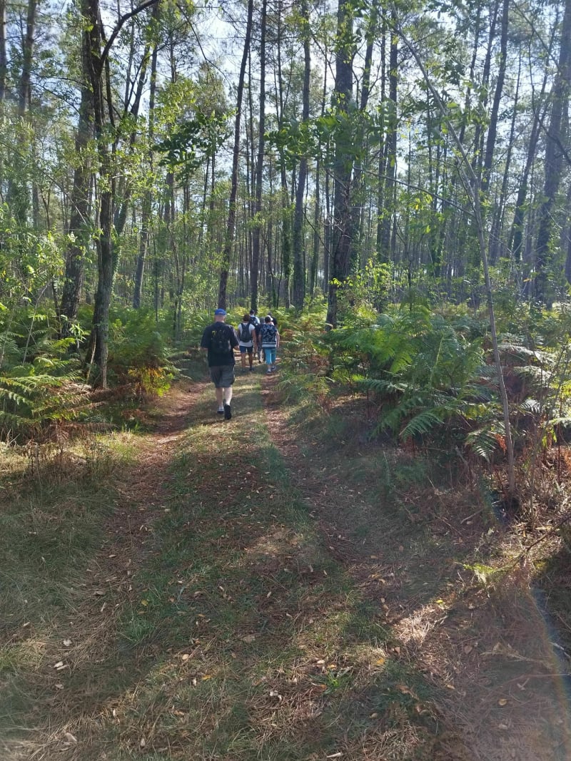 Balade en forêt de Préchac - Préchac