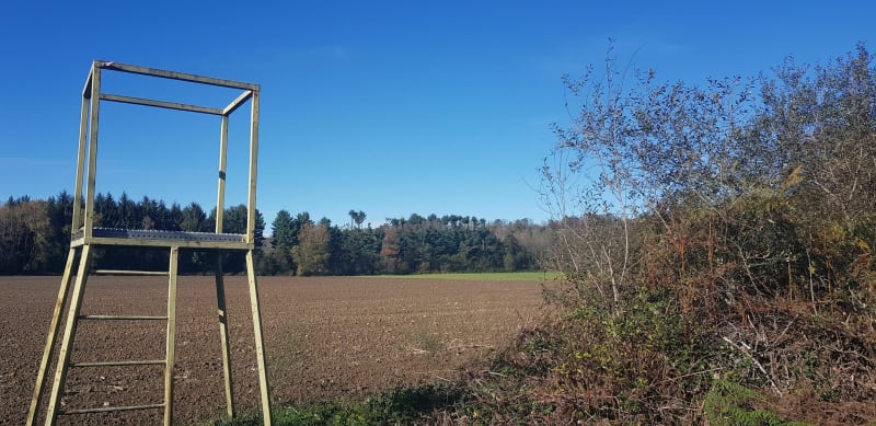 Petit tour à l'ombre, par la Graves de la Baquère, aux alentours de Tuzaguet - Tuzaguet