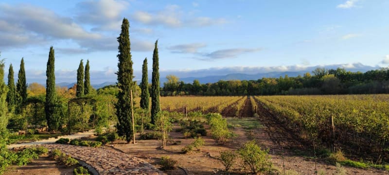 Le Cannet-des-Maures direction Château St-Roux - Le Cannet-des-Maures