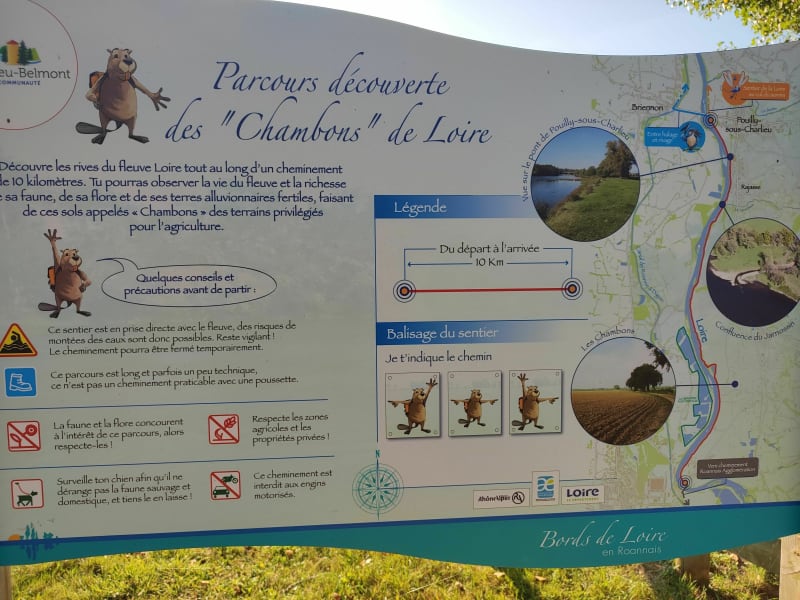 Balade en bords de Loire depuis Briennon - Pouilly-Sous-Charlieu