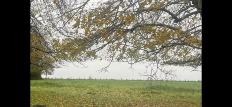 Randonnée sur Linselles et le Chéneau - Linselles