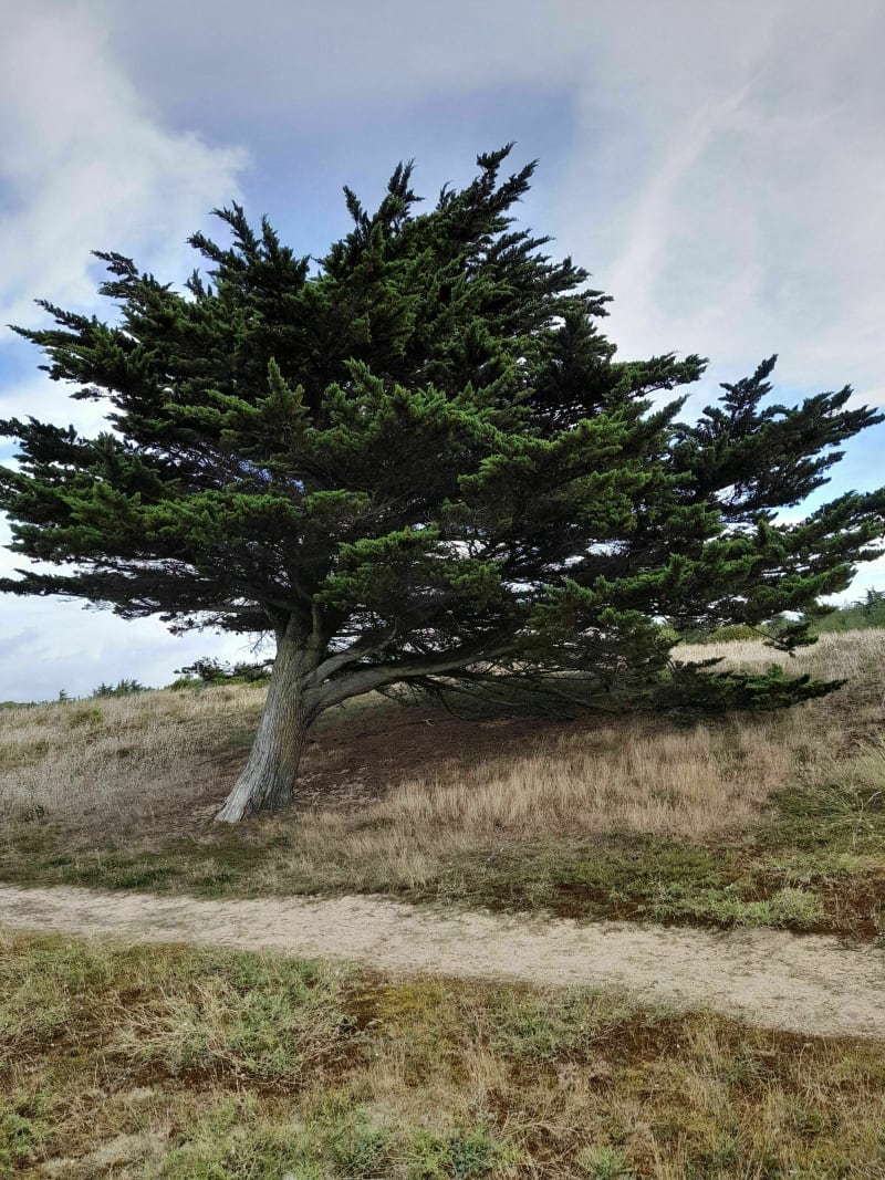 Tour de l'Île de Noirmoutier - Barbâtre