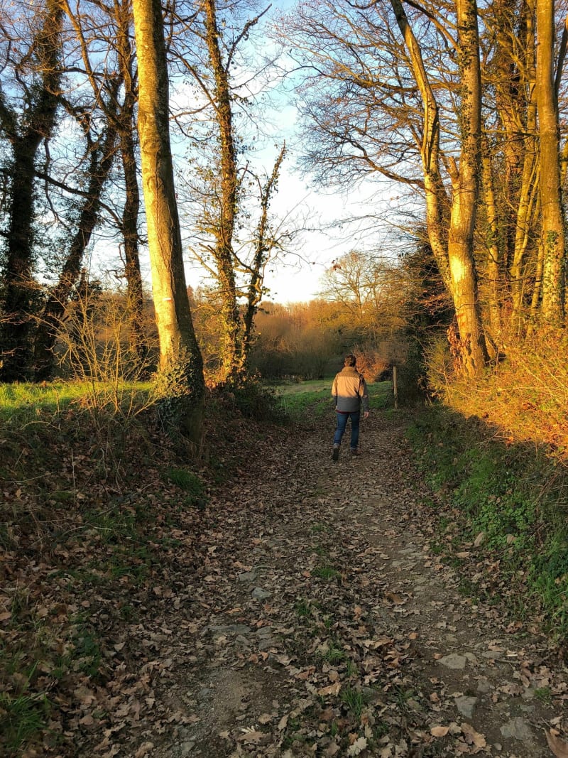 Sentier de Saint-Médard à Aubigné - Aubigné