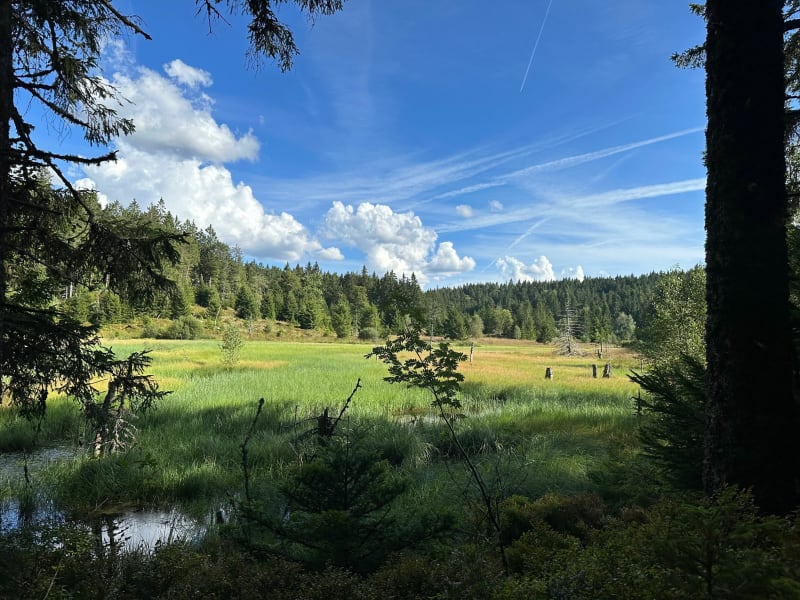 Du col de Menufosse à Vagney - Basse-sur-le-Rupt