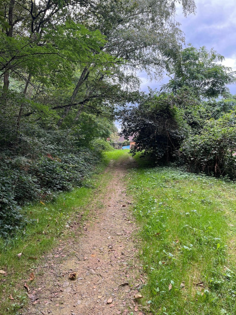 Balade en forêt de Balabay - Louey