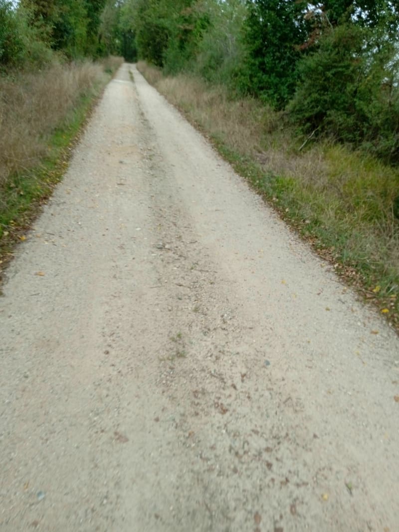 Balade sur Saulgė - Montmorillon