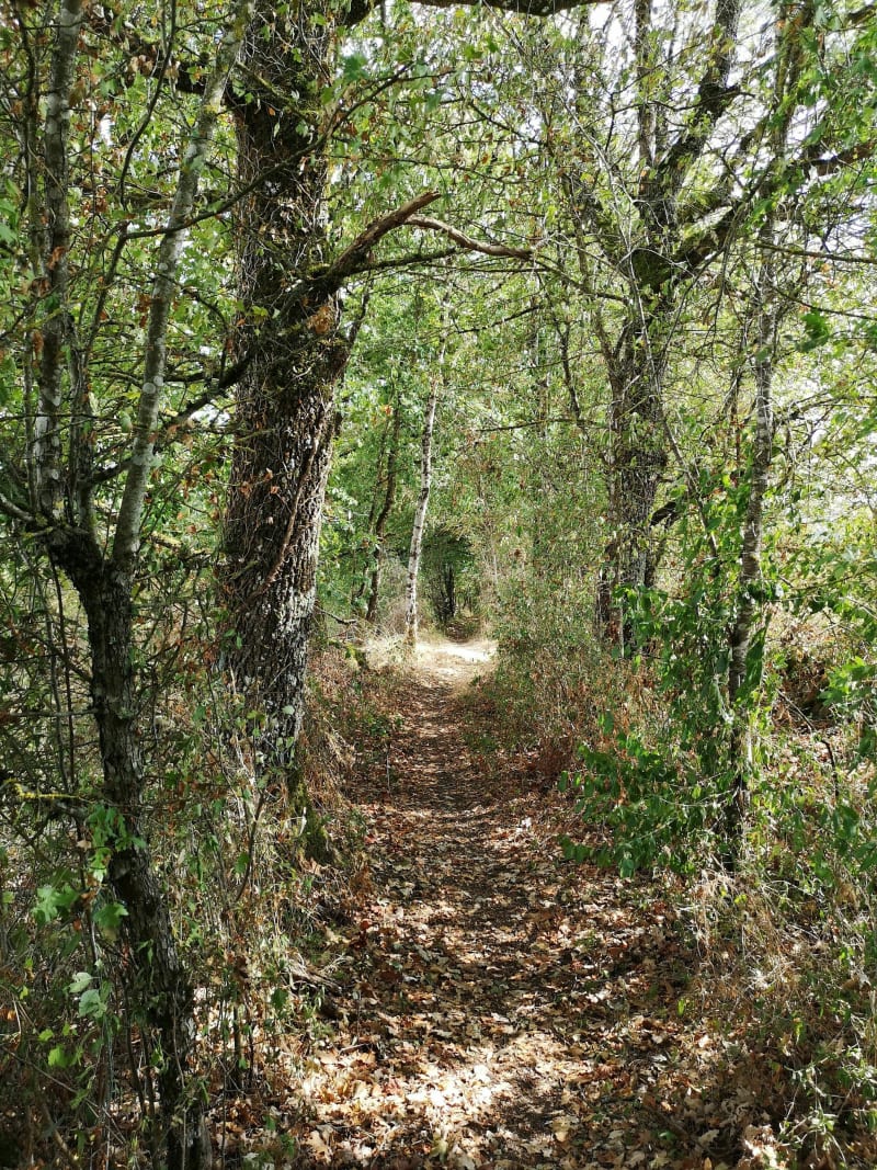 Boucle Panissal, les Imberts par la Plaine - Toulonjac
