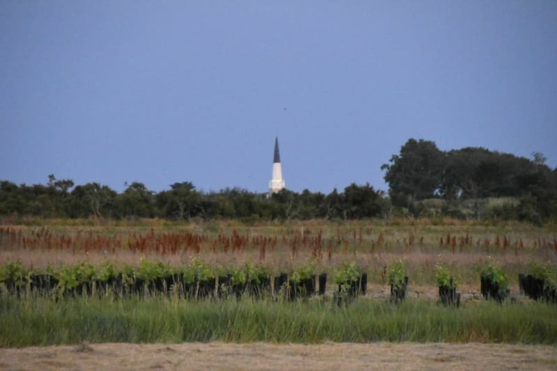 Balade en vélo au Nord de l'île de Ré - Les Portes-en-Ré