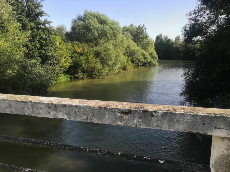 Fraîcheur entre Seine et canal - Payns