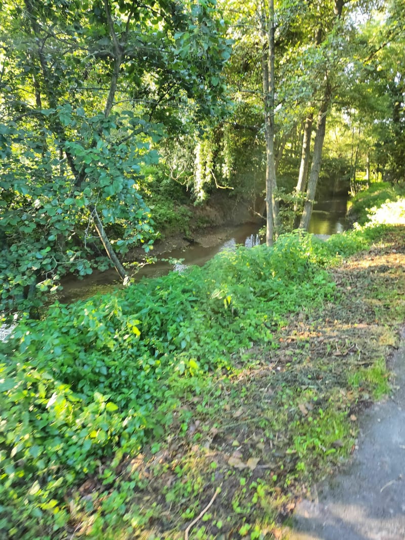 Balade le long de la Lame-Parc de La Law à Bruay-la-Buissière - Bruay-la-Buissière