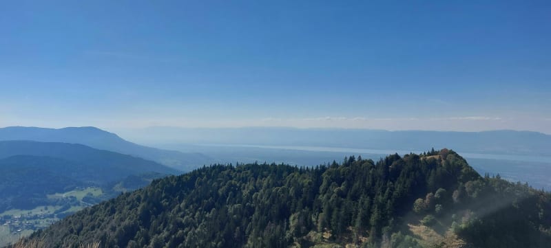 Balade du Mont Forchat depuis Très le Mont - Lullin