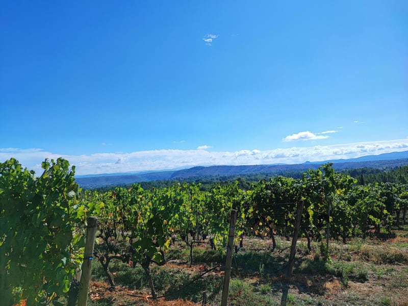 Le sentier des vignerons depuis Lablachère - Lablachère