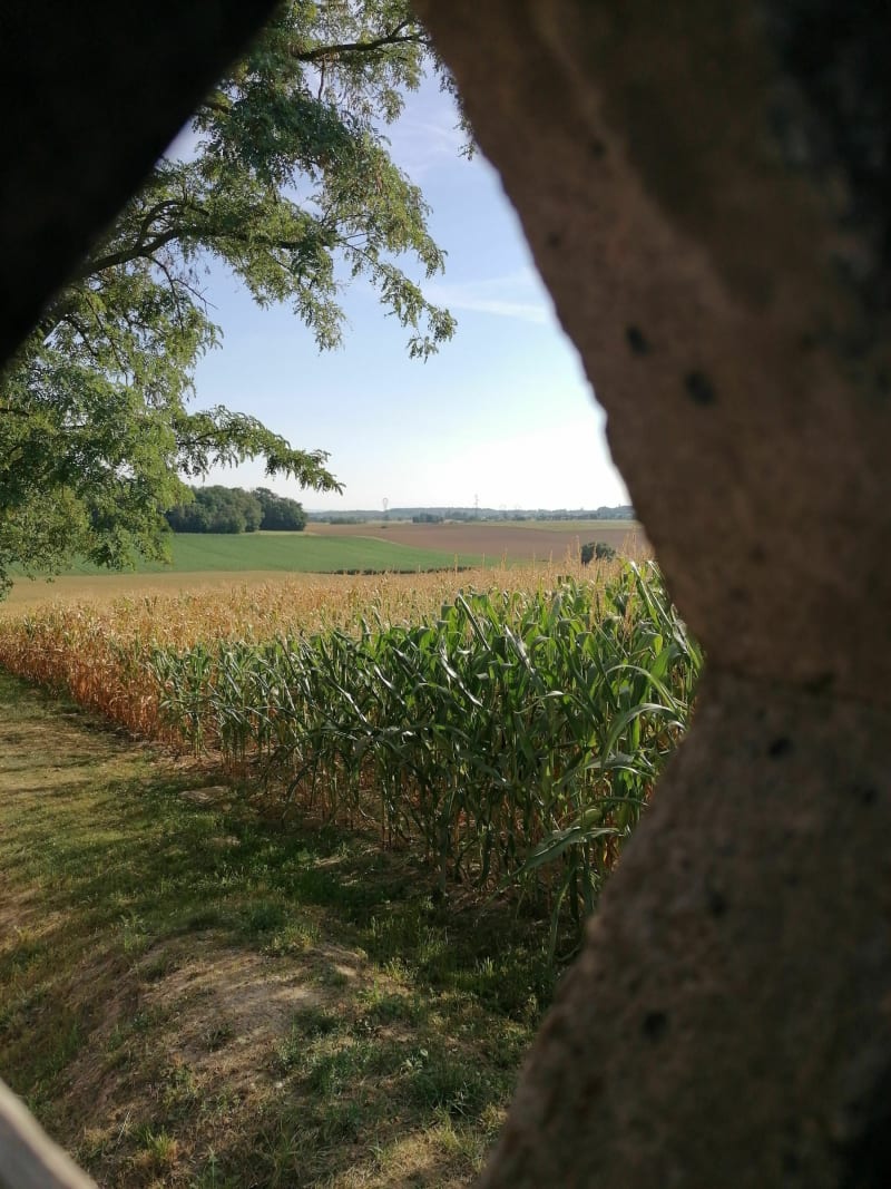 Balade à Magstatt-le-Bas, par Casemate Uffheim et bunkers - Magstatt-le-Bas