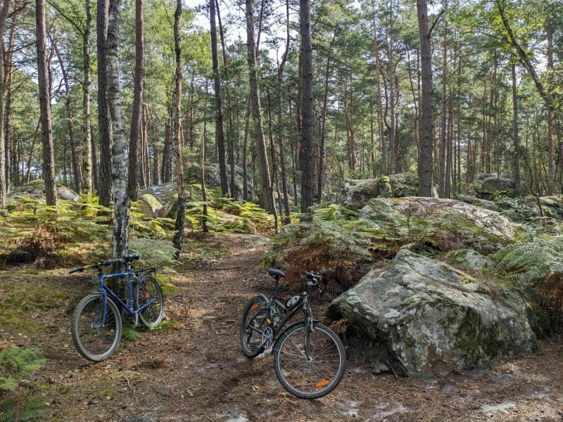 Tour à Fontainebleau en partant de Melun - Melun