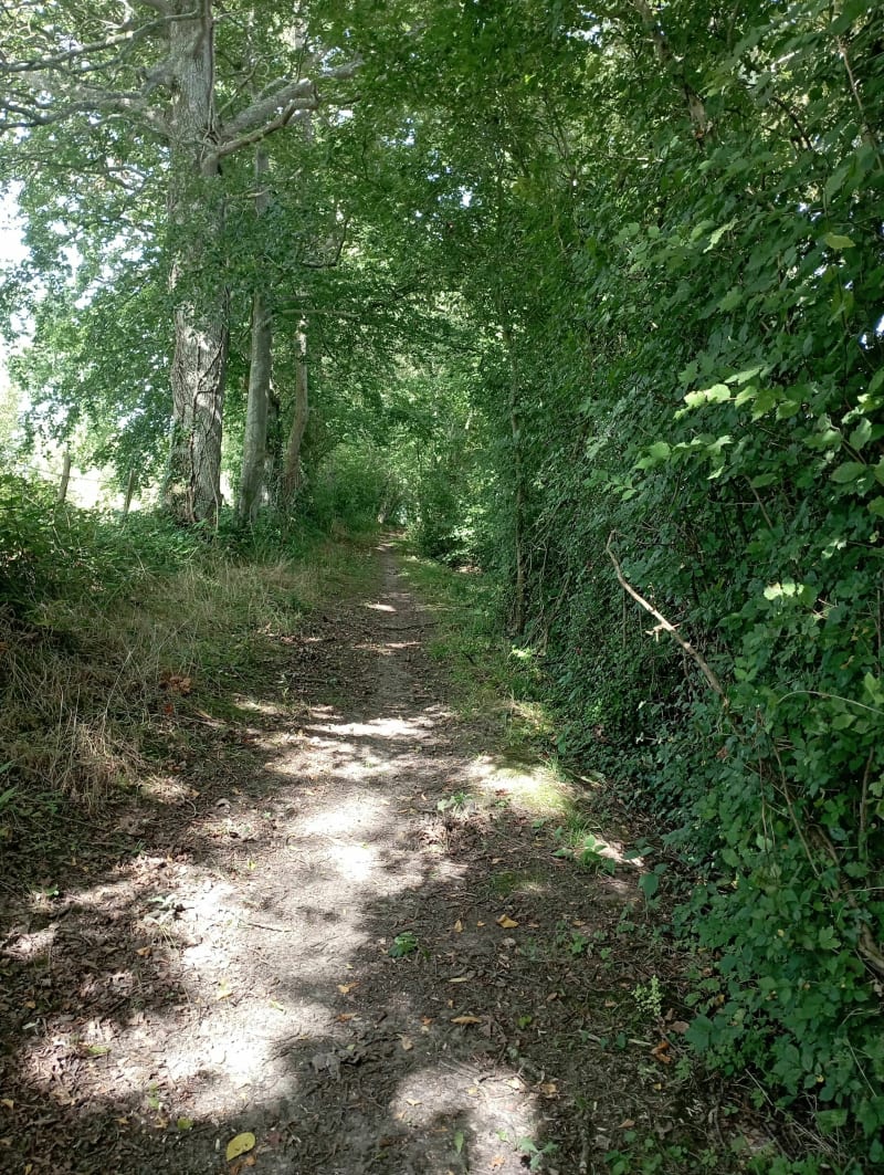 Randonnée à Épinay-sur-Odon - Épinay-sur-Odon