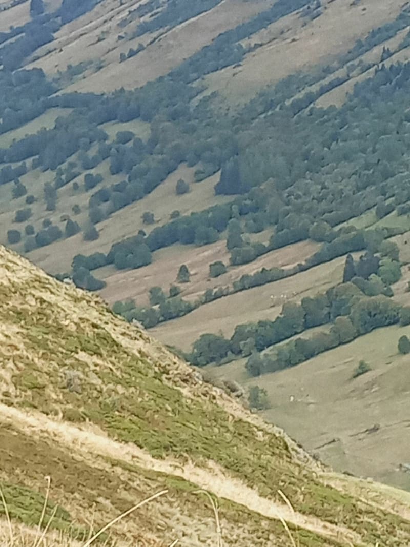 De Lioran au puy de Peyre Arse par col de Cabre - Laveissière