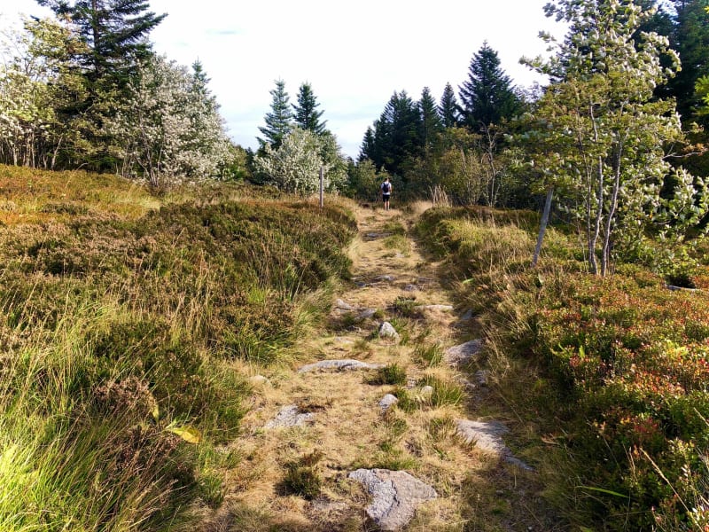 Circuit au col de la Loge - Chalmazel-Jeansagnière