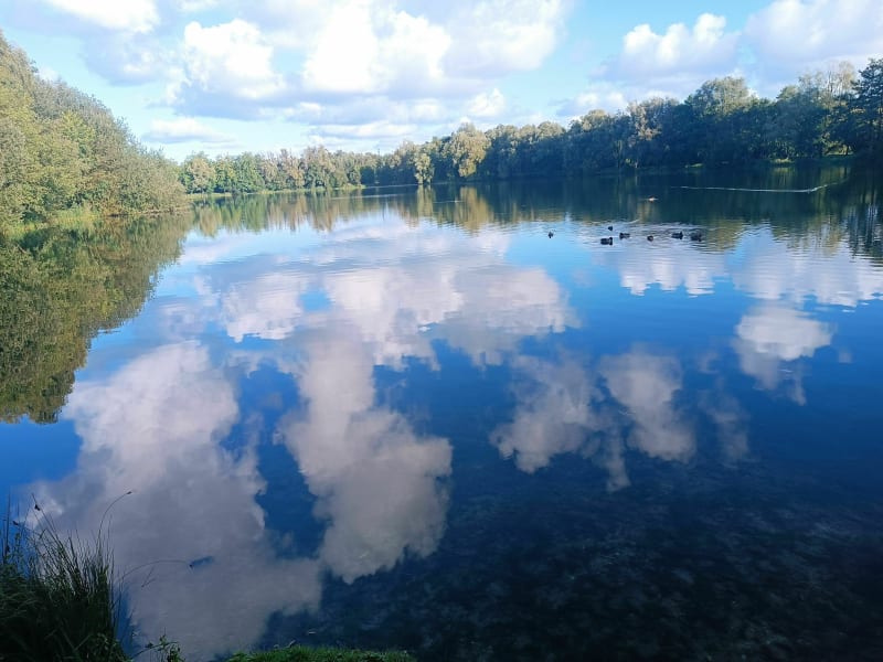 Autour de l'étang de Ponts et Marais - Ponts-et-Marais