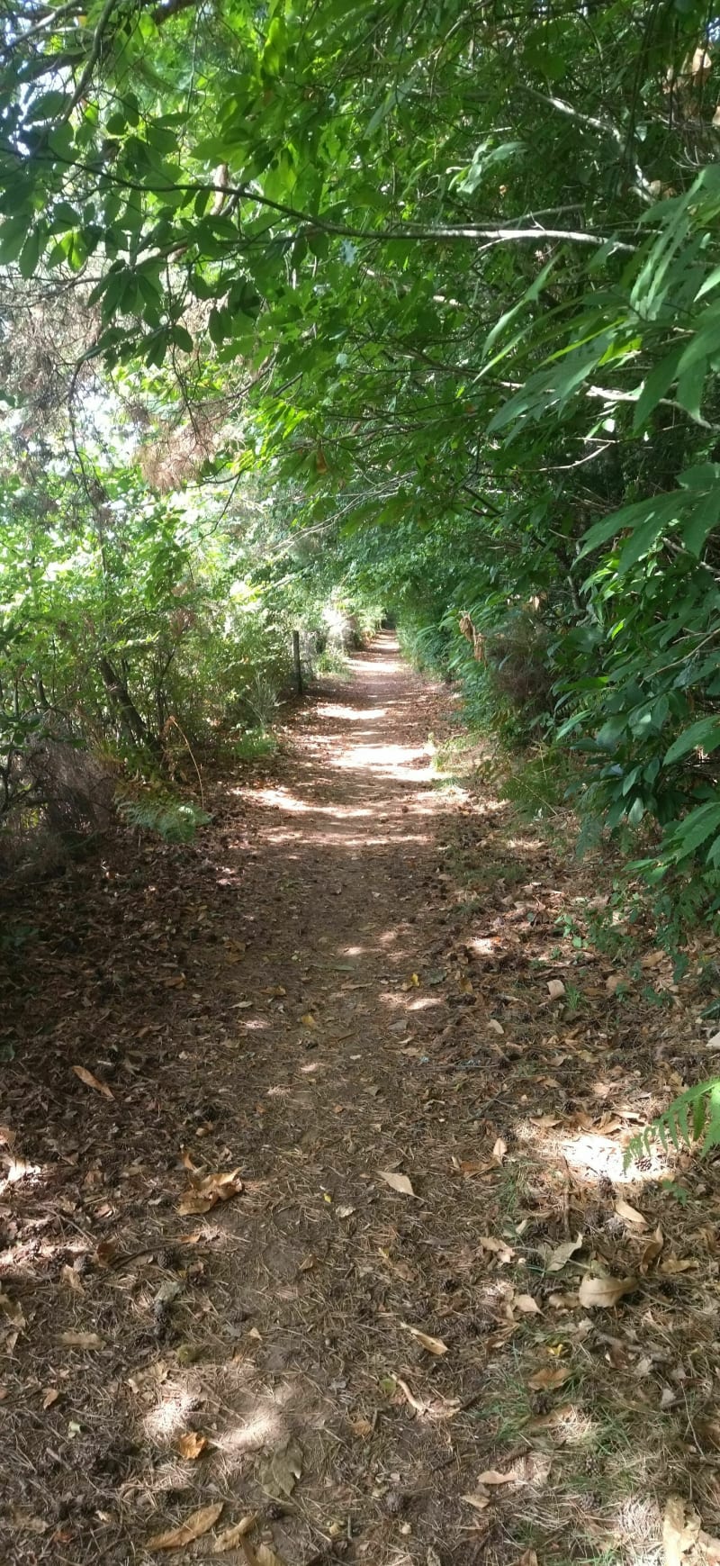 Malemort via le Coiroux - Malemort