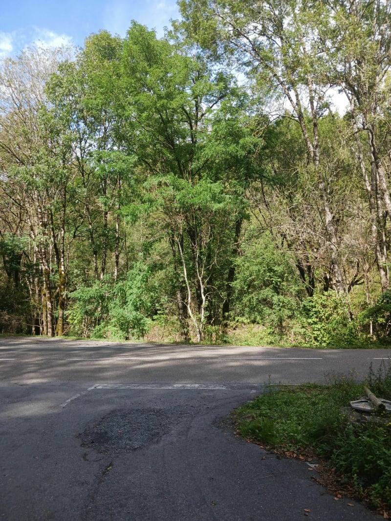 Petite marche sur le chemin du petit train des Monts de Lacaune. - Lacaune
