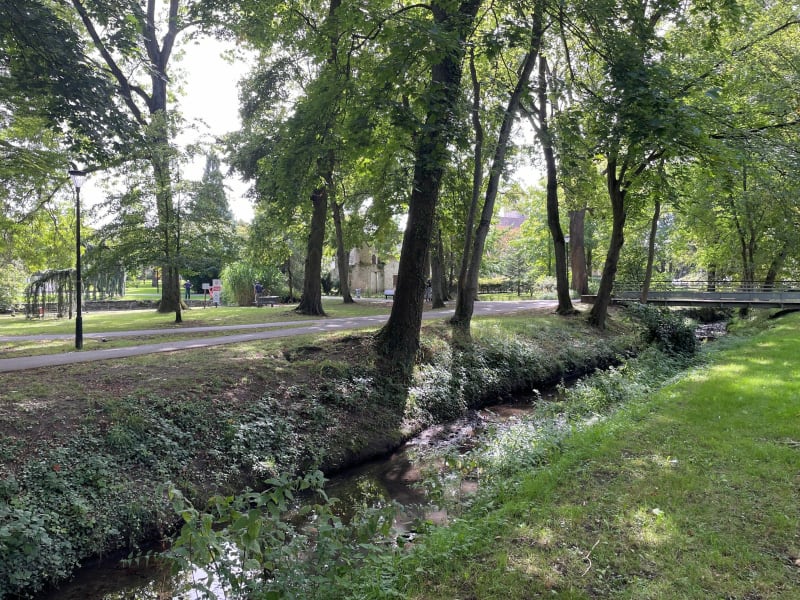 Boucle en forêt de Ferriere - Roissy-en-Brie