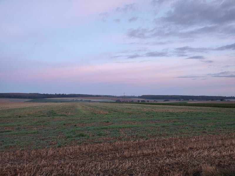 Au matin à la fraîcheur de Trescault - Trescault