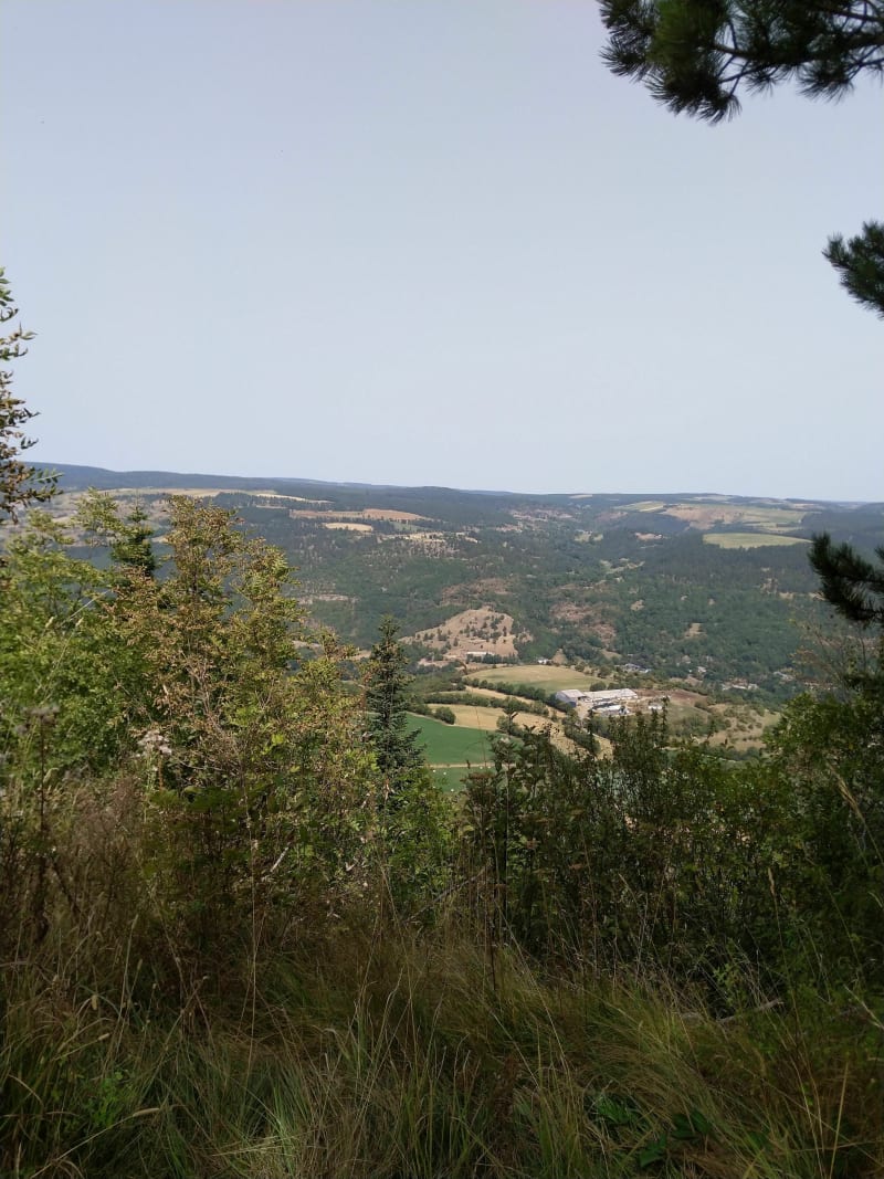 Entre le Mont Valdon et le col de la Loubière - Sainte-Hélène