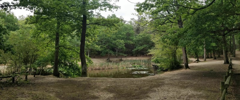 Randonnée dans le massif forestier d'Evreux-la-Madeleine - Évreux